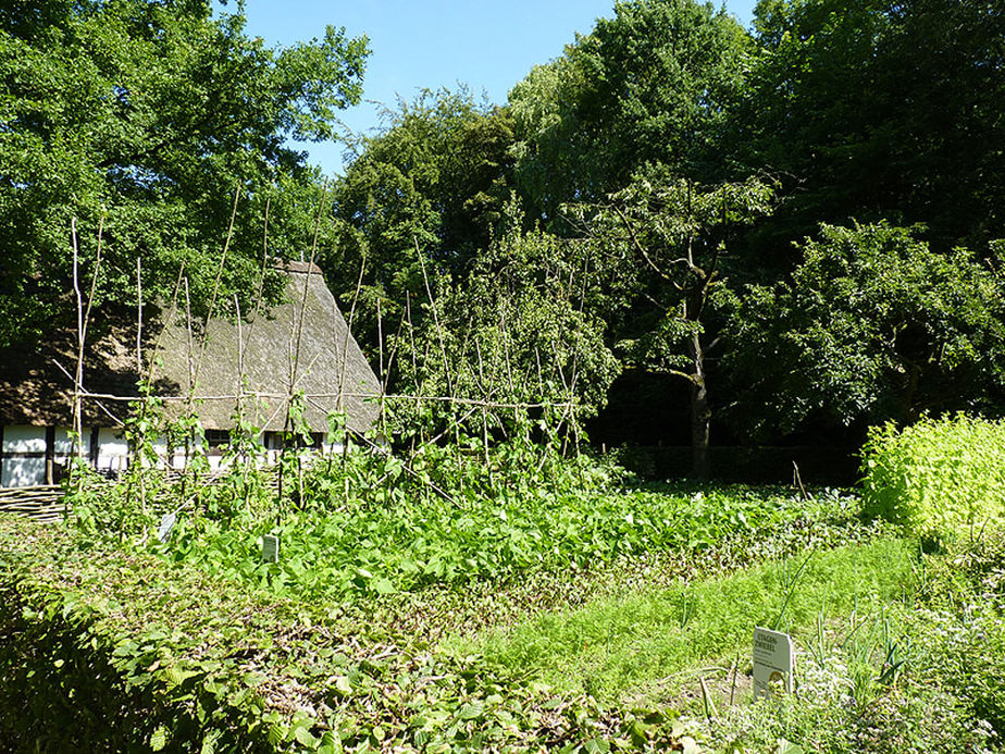 Sankt Crescentius on Tour in Detmold (Foto: Karl-Franz Thiede)